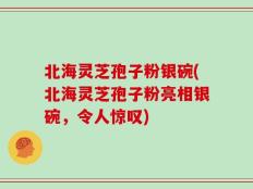 北海灵芝孢子粉银碗(北海灵芝孢子粉亮相银碗，令人惊叹)