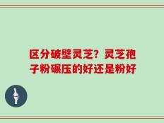 区分破壁灵芝？灵芝孢子粉碾压的好还是粉好