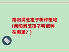 南阳灵芝孢子粉种植地(南阳灵芝孢子粉被种在哪里？)