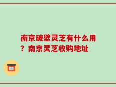 南京破壁灵芝有什么用？南京灵芝收购地址