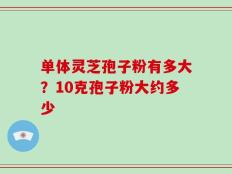单体灵芝孢子粉有多大？10克孢子粉大约多少