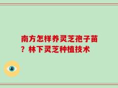 南方怎样养灵芝孢子苗？林下灵芝种植技术