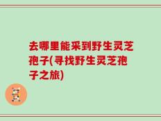 去哪里能采到野生灵芝孢子(寻找野生灵芝孢子之旅)