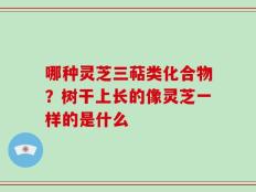 哪种灵芝三萜类化合物？树干上长的像灵芝一样的是什么