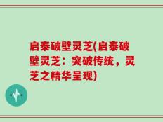 启泰破壁灵芝(启泰破壁灵芝：突破传统，灵芝之精华呈现)
