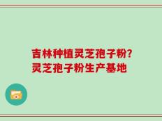 吉林种植灵芝孢子粉？灵芝孢子粉生产基地