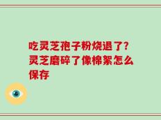吃灵芝孢子粉烧退了？灵芝磨碎了像棉絮怎么保存