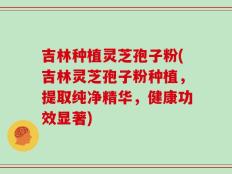 吉林种植灵芝孢子粉(吉林灵芝孢子粉种植，提取纯净精华，健康功效显著)