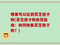 哪里可以捡到灵芝孢子粉(灵芝孢子粉收获指南：如何收集灵芝孢子粉？)