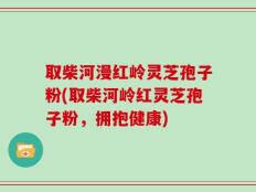取柴河漫红岭灵芝孢子粉(取柴河岭红灵芝孢子粉，拥抱健康)