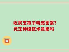 吃灵芝孢子粉感觉累？灵芝种植技术员累吗