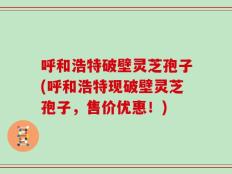 呼和浩特破壁灵芝孢子(呼和浩特现破壁灵芝孢子，售价优惠！)