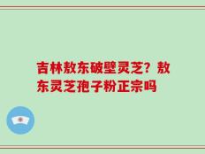 吉林敖东破壁灵芝？敖东灵芝孢子粉正宗吗
