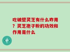吃破壁灵芝有什么昨用？灵芝孢子粉的功效和作用是什么
