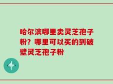 哈尔滨哪里卖灵芝孢子粉？哪里可以买的到破壁灵芝孢子粉