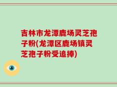 吉林市龙潭鹿场灵芝孢子粉(龙潭区鹿场镇灵芝孢子粉受追捧)