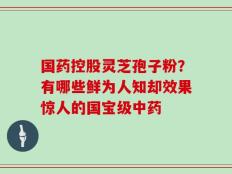 国药控股灵芝孢子粉？有哪些鲜为人知却效果惊人的国宝级中药