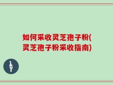如何采收灵芝孢子粉(灵芝孢子粉采收指南)
