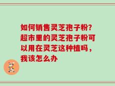 如何销售灵芝孢子粉？超市里的灵芝孢子粉可以用在灵芝这种植吗，我该怎么办