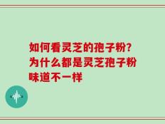 如何看灵芝的孢子粉？为什么都是灵芝孢子粉味道不一样