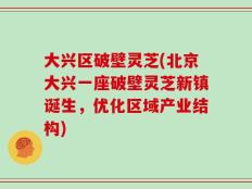 大兴区破壁灵芝(北京大兴一座破壁灵芝新镇诞生，优化区域产业结构)