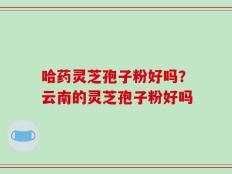 哈药灵芝孢子粉好吗？云南的灵芝孢子粉好吗