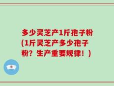 多少灵芝产1斤孢子粉(1斤灵芝产多少孢子粉？生产重要规律！)