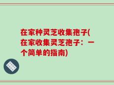 在家种灵芝收集孢子(在家收集灵芝孢子：一个简单的指南)