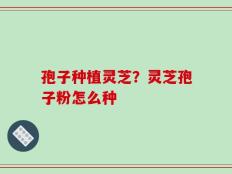 孢子种植灵芝？灵芝孢子粉怎么种