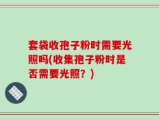 套袋收孢子粉时需要光照吗(收集孢子粉时是否需要光照？)