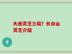 大连灵芝三萜？长白山灵芝介绍