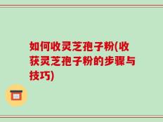 如何收灵芝孢子粉(收获灵芝孢子粉的步骤与技巧)