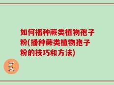 如何播种蕨类植物孢子粉(播种蕨类植物孢子粉的技巧和方法)