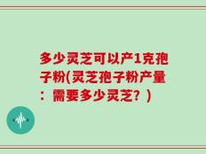 多少灵芝可以产1克孢子粉(灵芝孢子粉产量：需要多少灵芝？)