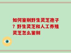 如何鉴别野生灵芝孢子？野生灵芝和人工养殖灵芝怎么鉴别