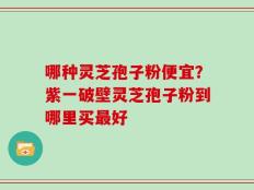 哪种灵芝孢子粉便宜？紫一破壁灵芝孢子粉到哪里买最好