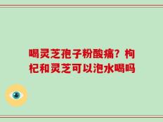 喝灵芝孢子粉酸痛？枸杞和灵芝可以泡水喝吗