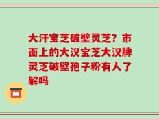 大汗宝芝破壁灵芝？市面上的大汉宝芝大汉牌灵芝破壁孢子粉有人了解吗