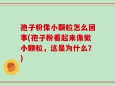 孢子粉像小颗粒怎么回事(孢子粉看起来像微小颗粒，这是为什么？)