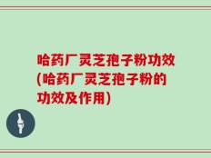 哈药厂灵芝孢子粉功效(哈药厂灵芝孢子粉的功效及作用)