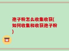 孢子粉怎么收集收获(如何收集和收获孢子粉)