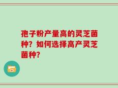 孢子粉产量高的灵芝菌种？如何选择高产灵芝菌种？