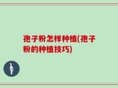 孢子粉怎样种植(孢子粉的种植技巧)