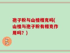 孢子粉与山楂相克吗(山楂与孢子粉有相克作用吗？)