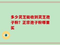 多少灵芝能收到灵芝孢子粉？正宗孢子粉哪里买
