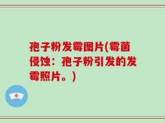 孢子粉发霉图片(霉菌侵蚀：孢子粉引发的发霉照片。)