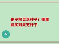 孢子粉灵芝种子？哪里能买到灵芝种子