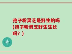 孢子粉灵芝是野生的吗(孢子粉灵芝野生生长吗？)