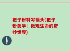 孢子粉特写镜头(孢子粉美学：微观生命的奇妙世界)