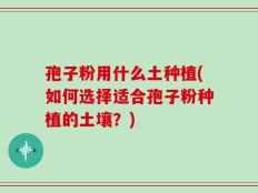 孢子粉用什么土种植(如何选择适合孢子粉种植的土壤？)